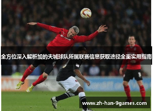 全方位深入解析加的夫城球队所属联赛信息获取途径全面实用指南