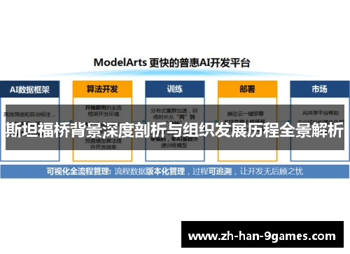 斯坦福桥背景深度剖析与组织发展历程全景解析