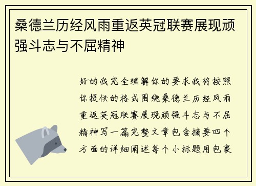 桑德兰历经风雨重返英冠联赛展现顽强斗志与不屈精神