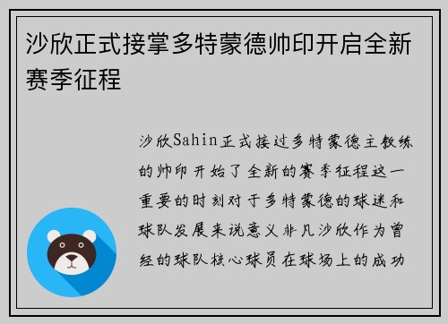 沙欣正式接掌多特蒙德帅印开启全新赛季征程